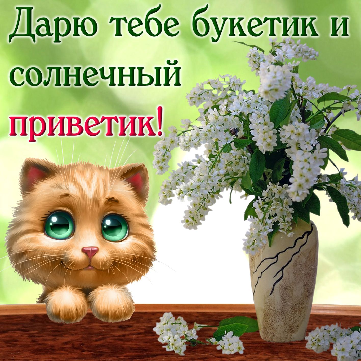 Открытка «С добрым утром»: Котёнок, цветы и солнечный приветик!. Тэги: С добрым утром, для поднятия настроением!…