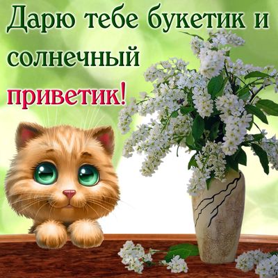 Открытка «С добрым утром»: Котёнок, цветы и солнечный приветик!. Тэги: С добрым утром, для поднятия настроением!…