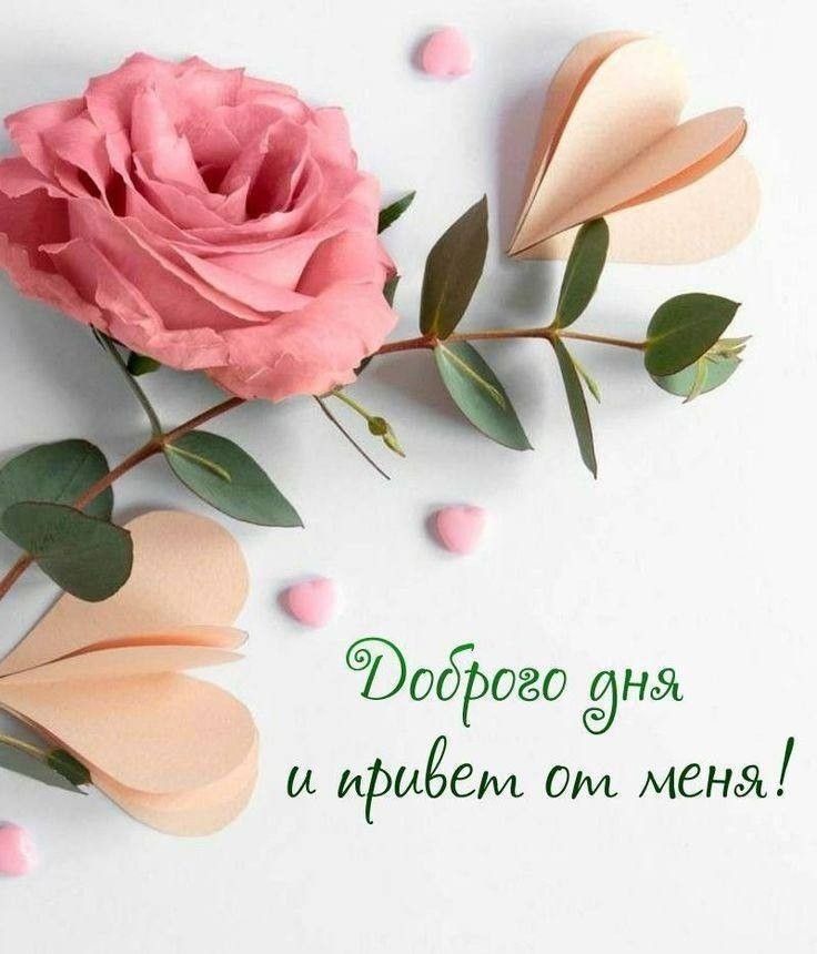 Открытка «Добрый день»: Доброго дня и привет от меня!. Тэги: Добрый день и добрые пожелания, Добрый день, с цветами…
