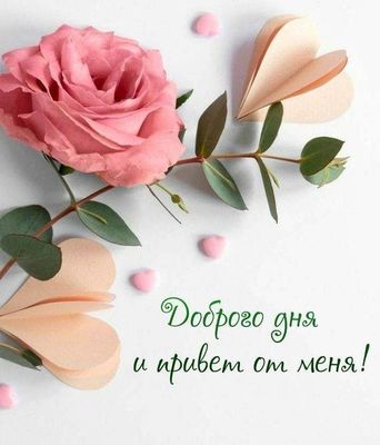 Открытка «Добрый день»: Доброго дня и привет от меня!. Тэги: Добрый день и добрые пожелания, Добрый день, с цветами…