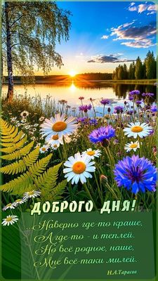 Открытка «Пожелание»: Яркий рассвет на озере: нежные полевые цветы. Тэги: позитивная, утро, красивая, цветок, стих…