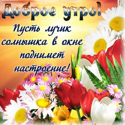 Открытка «С добрым утром»: Утренний букет: пусть солнце подарит настроение!. Тэги: пожелание, позитивная, улыбка…