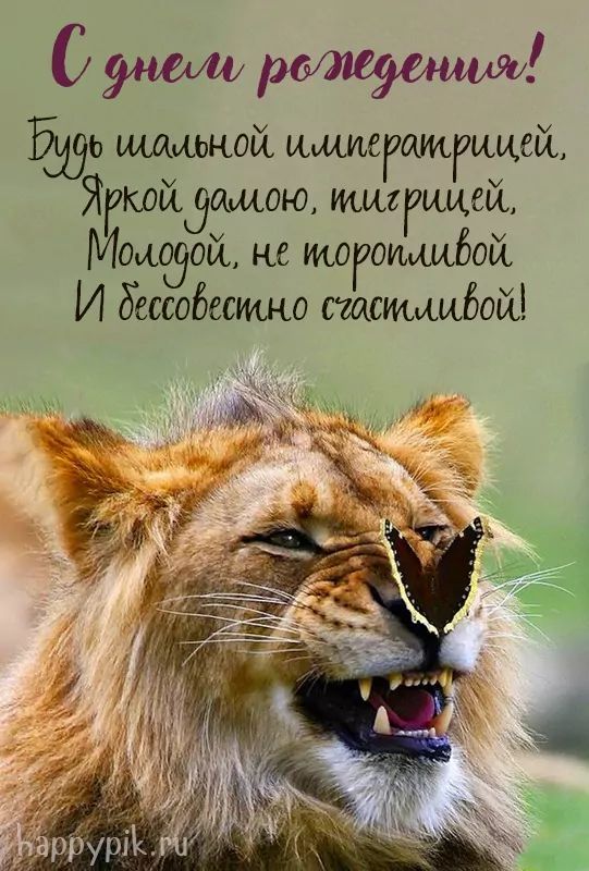 Открытка «С днем рождения»: С Днем Рождения: Будь яркой тигрицей и счастливой!. Тэги: животное, пожелание, позитивная…