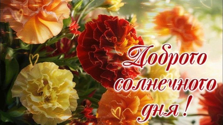 Открытка «Добрый день»: Солнечный день и букет ярких цветов!. Тэги: Добрый день и добрые пожелания, Добрый день…