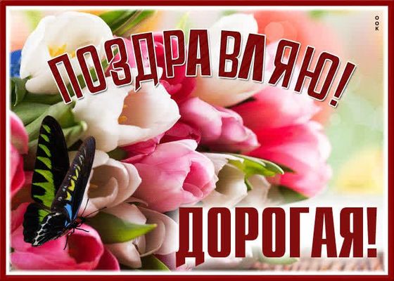 Открытка «Добрый день»: Поздравляю, Дорогая! Нежный букет для тебя. Тэги: Добрый день и добрые пожелания, Добрый день…