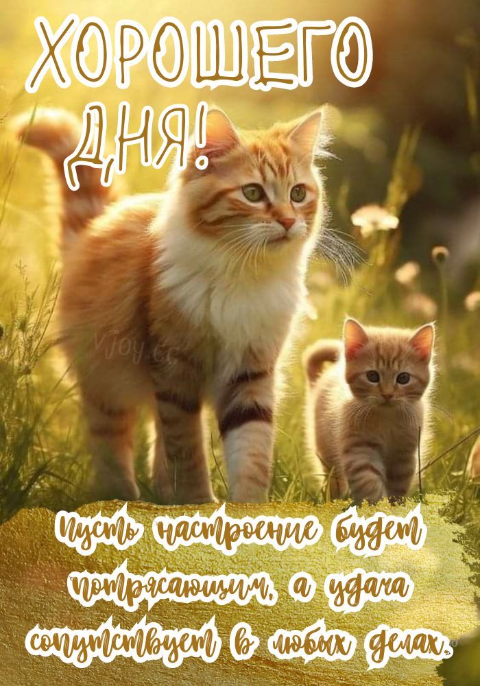 Открытка «Хорошего дня»: Хорошего дня с пушистыми друзьями!. Тэги: Добрый день, Удачного дня, Добрый день и добрые по…