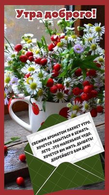 Открытка «С добрым утром»: Утра доброго: летний букет и теплые слова. Тэги: С добрым, летним утром, С добрым утром…