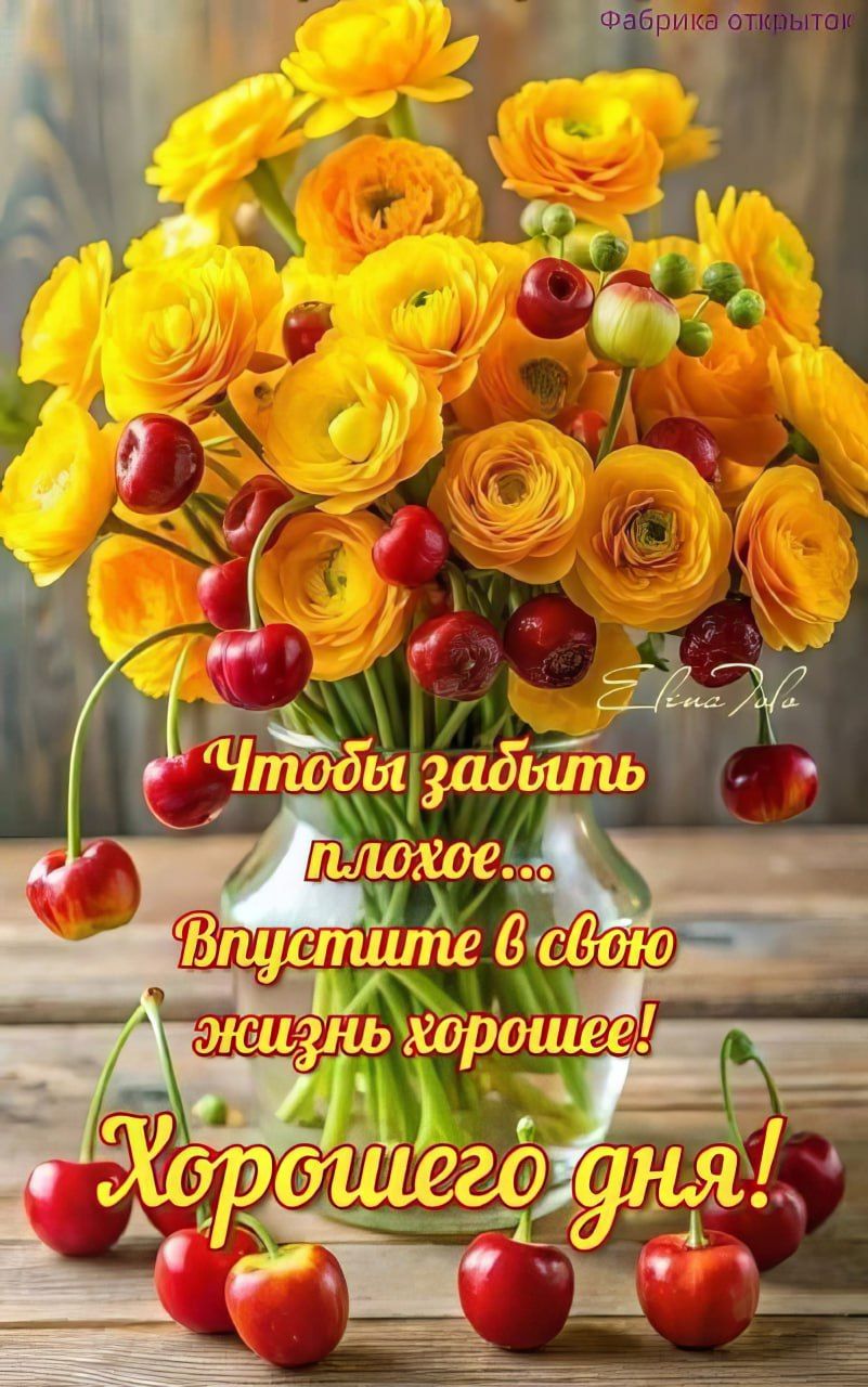 Открытка «С добрым утром»: Яркие цветы и пожелание доброго утра и дня. Тэги: хорошего дня, пожелание, позитивная…