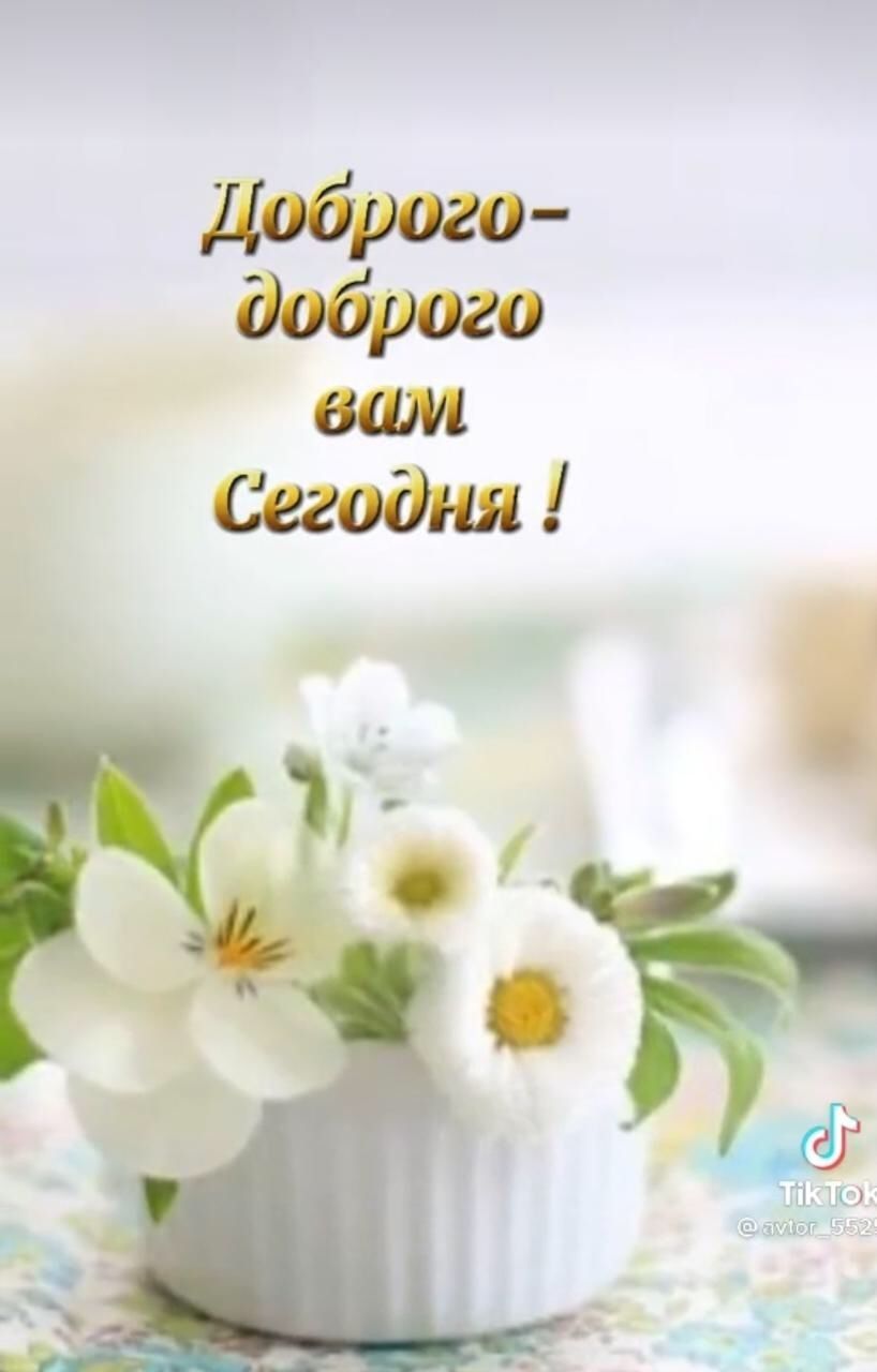 Открытка «С добрым утром»: Доброго-доброго вам Сегодня! Нежные цветы. Тэги: хорошего дня, пожелание, позитивная…