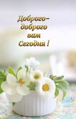 Открытка «С добрым утром»: Доброго-доброго вам Сегодня! Нежные цветы. Тэги: хорошего дня, пожелание, позитивная…