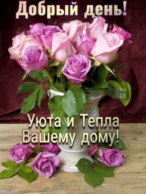 Открытка «Пожелание»: Нежный букет роз: Добрый день и тепло дому. Тэги: позитивная, красивая, добрый день, цветок, уют…