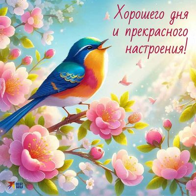 Открытка «Добрый день»: Весенняя птичка: хорошего дня и настроения!. Тэги: Добрый день и добрые пожелания, Добрый день…