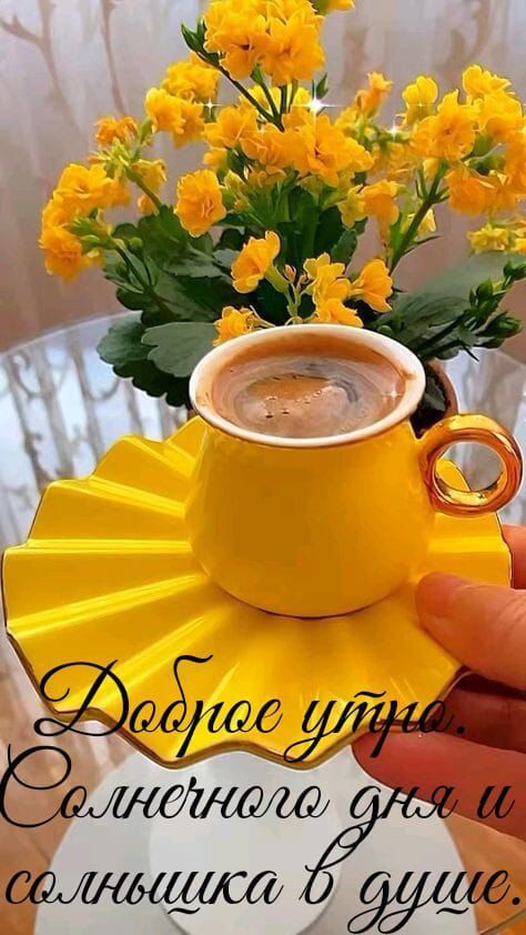 Открытка «С добрым утром»: Солнечное утро: кофе, цветы и добрые пожелания. Тэги: Хорошего настроения, С добрым…