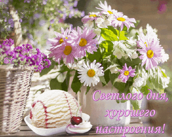 Открытка «Добрый день»: Нежное утро, светлый день!. Тэги: анимационный, Добрый день и добрые пожелания, Добрый день…