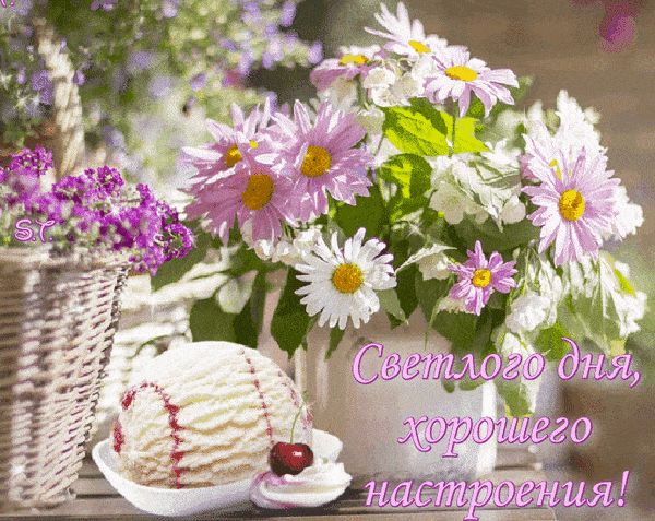 Открытка «Добрый день»: Нежное утро, светлый день!. Тэги: анимационный, Добрый день и добрые пожелания, Добрый день…