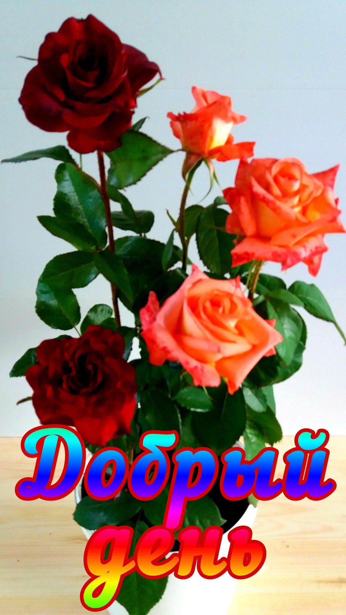 Открытка «Добрый день»: Яркий букет роз для доброго дня!. Тэги: Добрый день и добрые пожелания, Добрый день, для подн…
