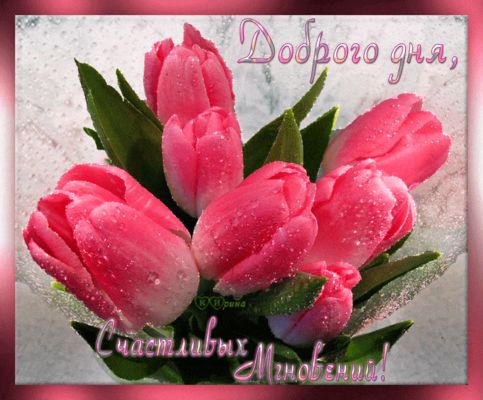 Открытка «Пожелание»: Букет нежных тюльпанов для счастливого дня. Тэги: позитивная, утро, красивая, цветок, настроение…