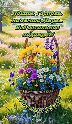 Открытка «С добрым утром»: Доброе утро: Мир, цветы и нежность. Тэги: пожелание, позитивная, утро, красивая, цветок…