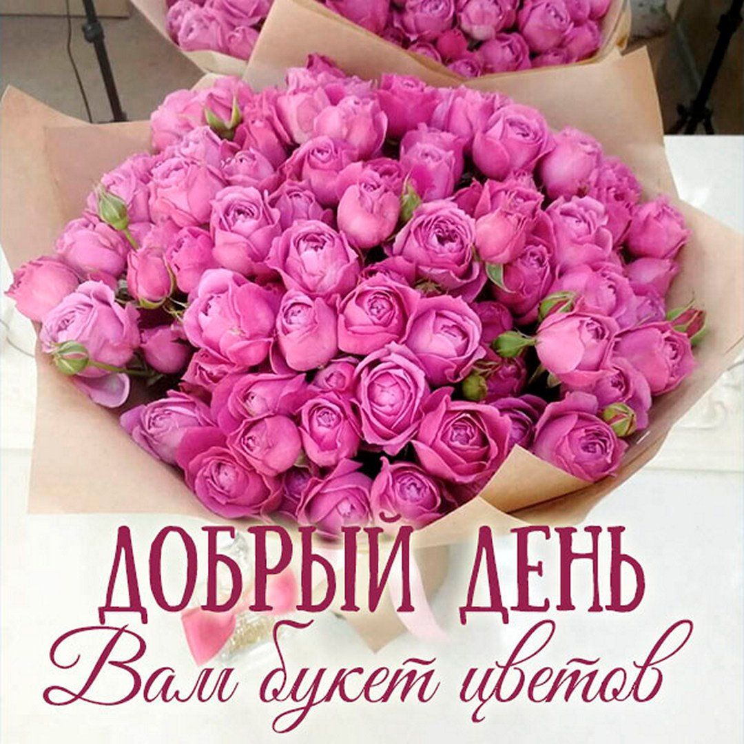Открытка «Пожелание»: Нежный букет розовых роз для доброго дня. Тэги: позитивная, подруга, любимому, женщина, красивая…