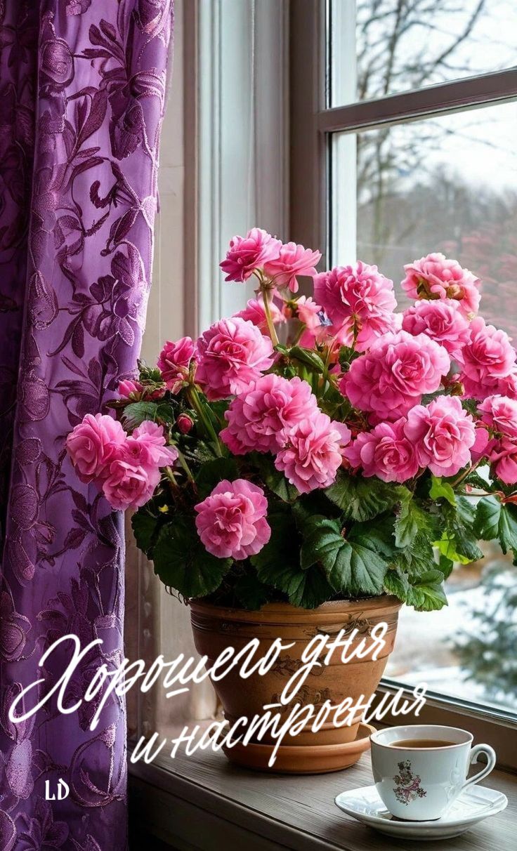 Открытка «Хорошего дня»: Уютное утро: цветы, чай и добрые пожелания. Тэги: Добрый день, Добрый день и добрые пожелания…