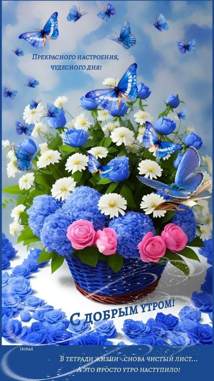 Открытка «С добрым утром»: Доброе утро! Букет нежности и бабочки радости. Тэги: хорошего дня, пожелание, позитивная…
