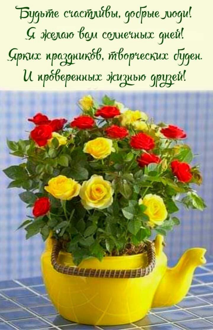 Открытка «Добрый день»: Счастья и солнечных дней! Пожелание с розами. Тэги: Добрый день и добрые пожелания, Добрый де…