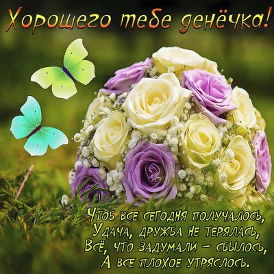 Открытка «Животное»: Хорошего денёчка! Пожелание удачи и радости. Тэги: пожелание, красивая, позитив, хорошее настрое…