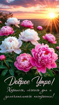 Открытка «Пожелание»: Доброе Утро! Прекрасные пионы для отличного настроения. Тэги: утро, красивая, позитив, хорошее…