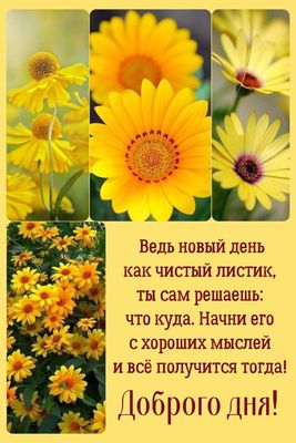 Открытка «Пожелание»: Доброго дня! Красивое пожелание с хорошим настроением. Тэги: красивая, позитив, хорошее настрое…