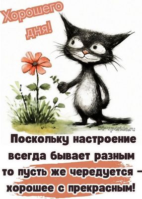 Открытка «Хорошего дня»: Хорошего дня! Пожелание прекрасного настроения. Тэги: кот, пожелание, прикольная, красивая…