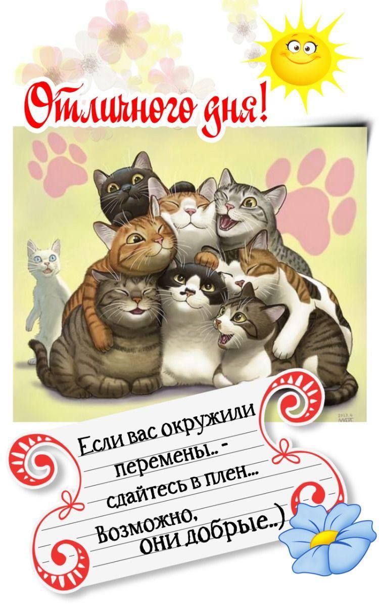 Открытка «Кот»: Отличного дня! Мудрое пожелание и коты. Тэги: животное, пожелание, отличное настроение, улыбка…