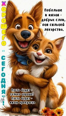 Открытка «Кот»: Хорошего сегодня! Добрых слов и прекрасной жизни.. Тэги: животное, пожелание, улыбка, друг, подруга…