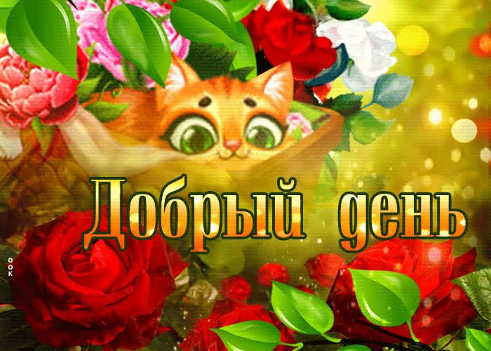 Открытка «Кот»: Чудесный Добрый день! Открытка с котиком и цветами. Тэги: животное, пожелание, улыбка, красивая…