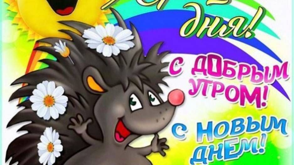 Открытка «Животное»: Доброе утро! Ежик и ромашки для хорошего дня. Тэги: улыбка, утро, позитив, хорошее настроение…