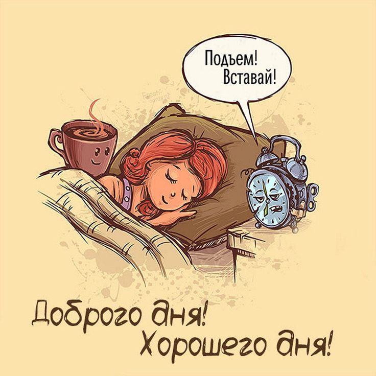 Открытка «С добрым утром»: Доброго утра! Отличного настроения и позитива!. Тэги: Хорошего дня, Добрый день, Для подня…