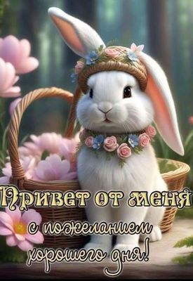 Открытка «Пожелание»: Привет от зайчика! Пожелание хорошего дня. Тэги: улыбка, красивая, позитив, радость, цветок…
