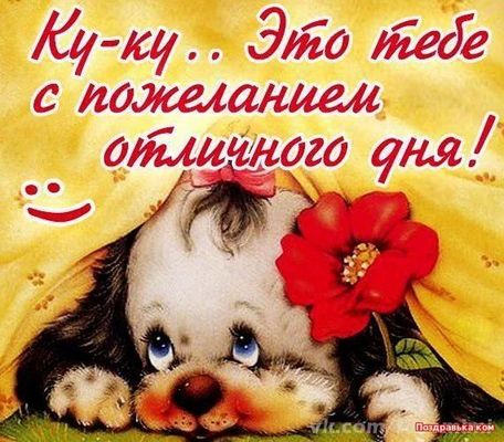 Открытка «Животное»: Ку-ку! Отличного дня: милое пожелание. Тэги: пожелание, улыбка, друг, подруга, красивая, позитив…