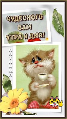 Открытка «Кот»: Чудесного утра и дня в пятницу! Милый кот с кофе. Тэги: животное, пожелание, улыбка, утро, красивая…