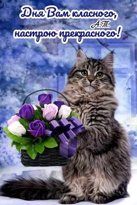 Открытка «Хорошего дня»: Дня классного и настроения прекрасного!. Тэги: Добрый день, классный, Добрый день, для подня…