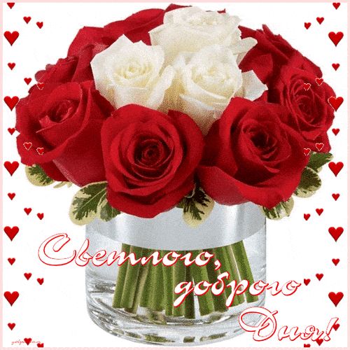 Открытка «Пожелание»: Светлого доброго Дня! Красивый букет роз. Тэги: красивая, хорошее настроение, радость, добрый д…