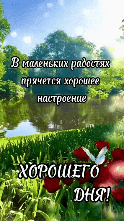 Открытка «Пожелание»: Хорошего дня! Радость и хорошее настроение. Тэги: утро, красивая, позитив, радость, цветок…