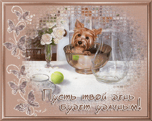 Открытка «Животное»: Пусть твой день будет удачным! Позитив и удача. Тэги: пожелание, улыбка, красивая, позитив…