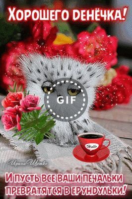 Открытка «Пожелание»: Хорошего денёчка! Счастье и позитив на весь день. Тэги: юмор, прикольная, смешная, улыбка…