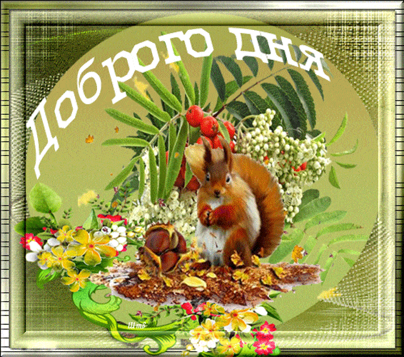 Открытка «Животное»: Доброго дня: прекрасное настроение с белкой. Тэги: пожелание, улыбка, красивая, позитив, хорошее…