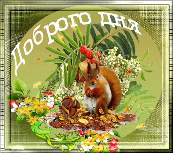 Открытка «Животное»: Доброго дня: прекрасное настроение с белкой. Тэги: пожелание, улыбка, красивая, позитив, хорошее…