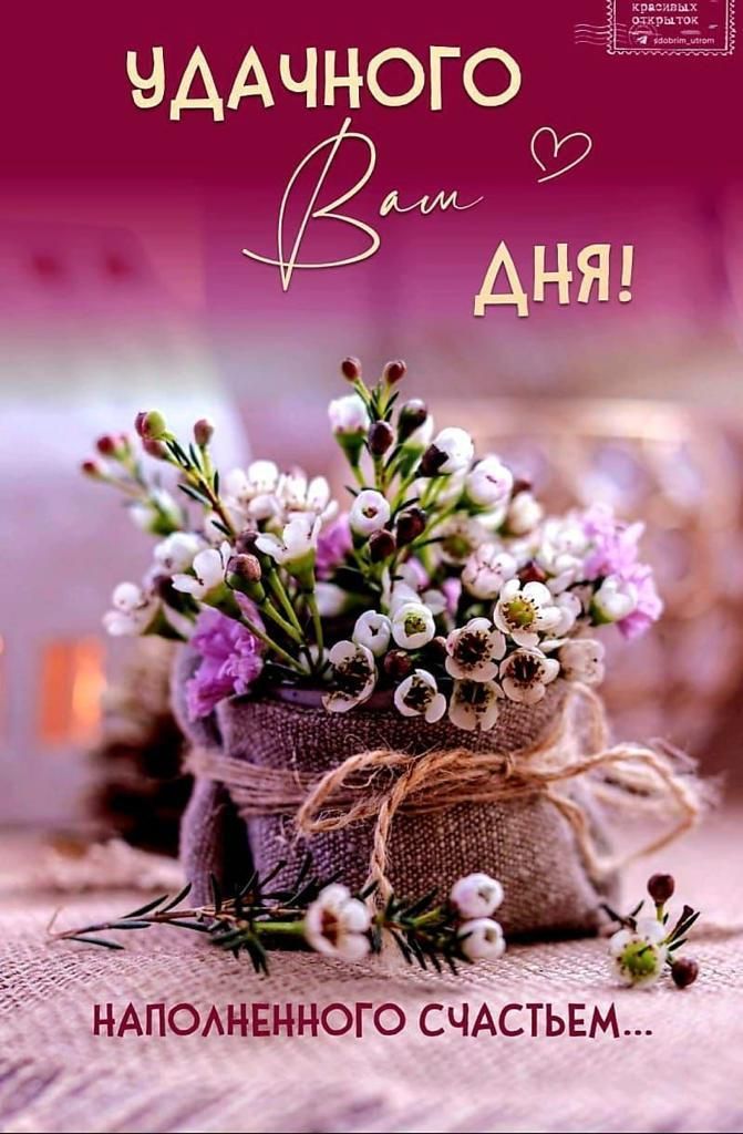 Открытка «Пожелание»: Прекрасного дня, наполненного счастьем!. Тэги: утро, красивая, позитив, хорошее настроение…