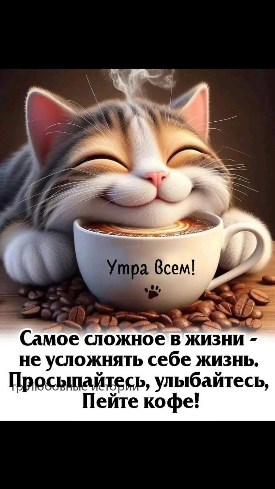 Открытка «Кот»: Доброе утро с котиком и кофе: позитив и улыбка!. Тэги: животное, пожелание, улыбка, утро, красивая…