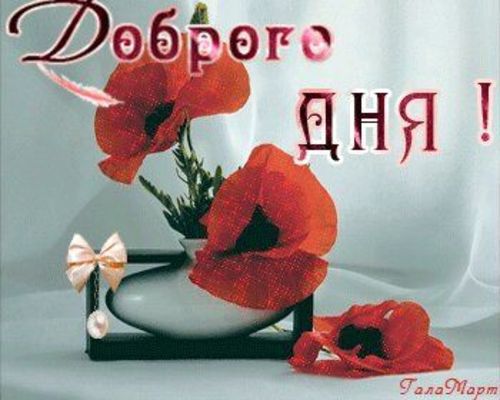 Открытка «Добрый день»: Доброго дня! Красивое пожелание с цветами мака. Тэги: Добрый день и добрые пожелания, Добрый…