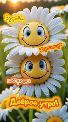 Открытка «Пожелание»: Доброе утро! Здоровья, настроения, хорошего дня!. Тэги: улыбка, утро, красивая, позитив, хороше…