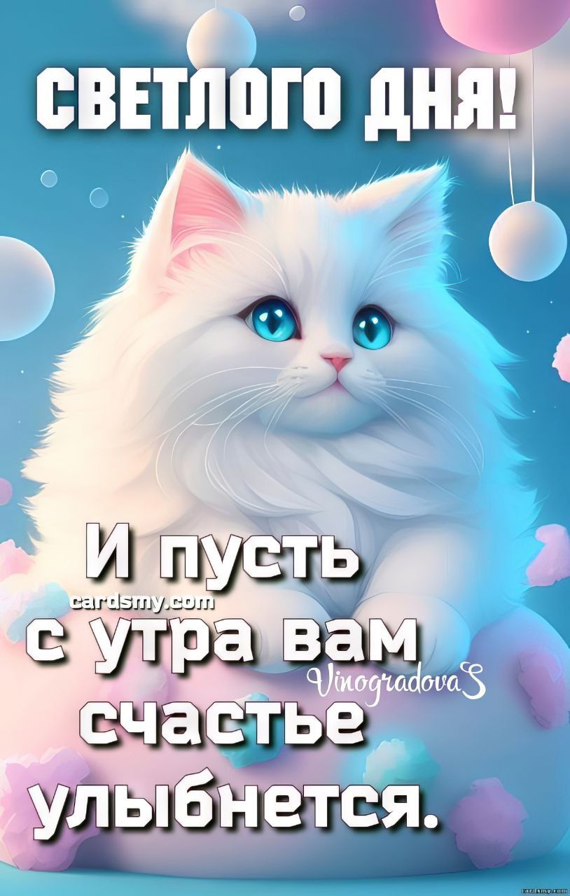 Открытка «Кот»: Светлого дня и доброго утра с милым котиком!. Тэги: животное, пожелание, улыбка, утро, позитив…